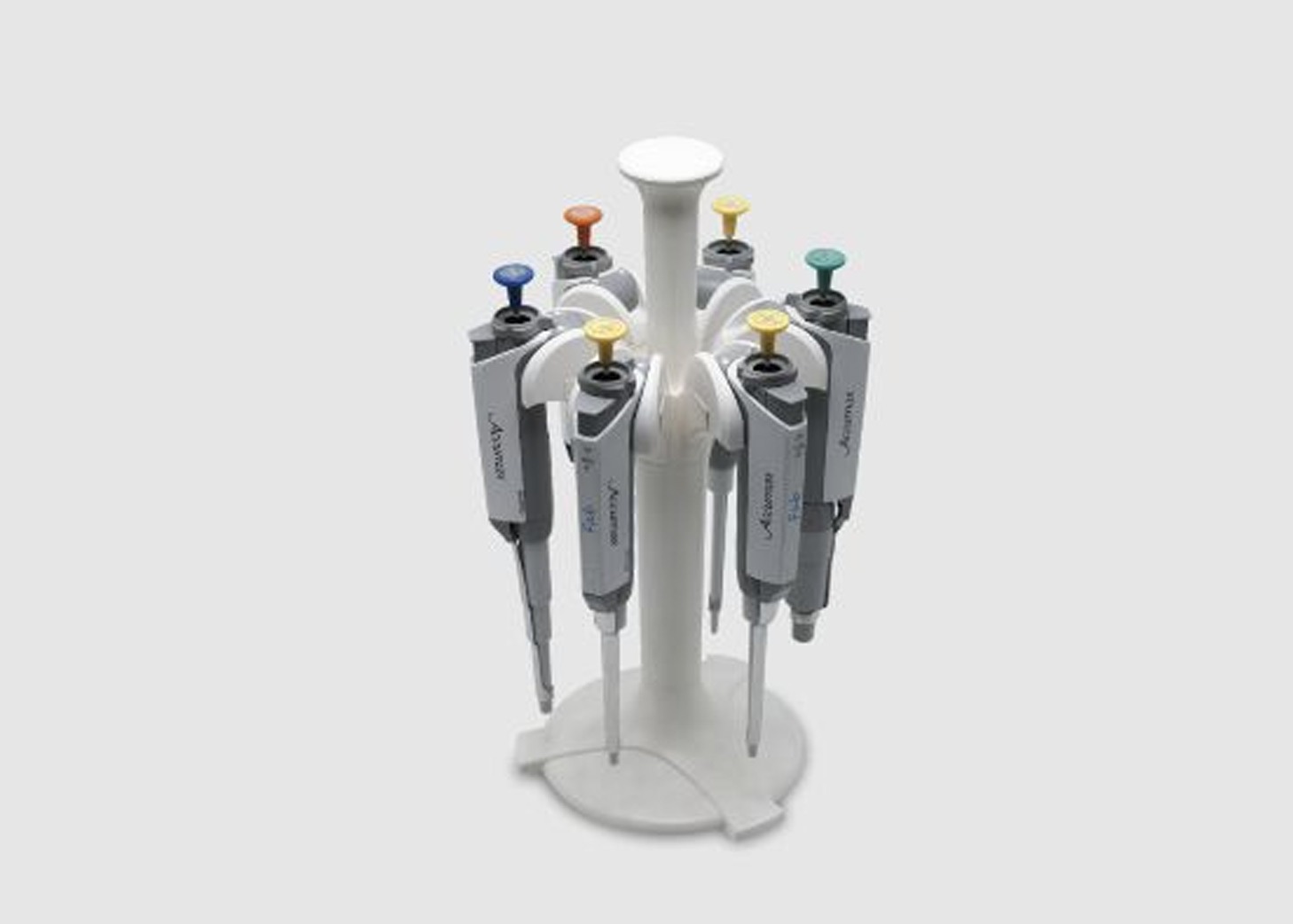 WhatsApp Image 2024-01-29 at 11.57.35 (3)