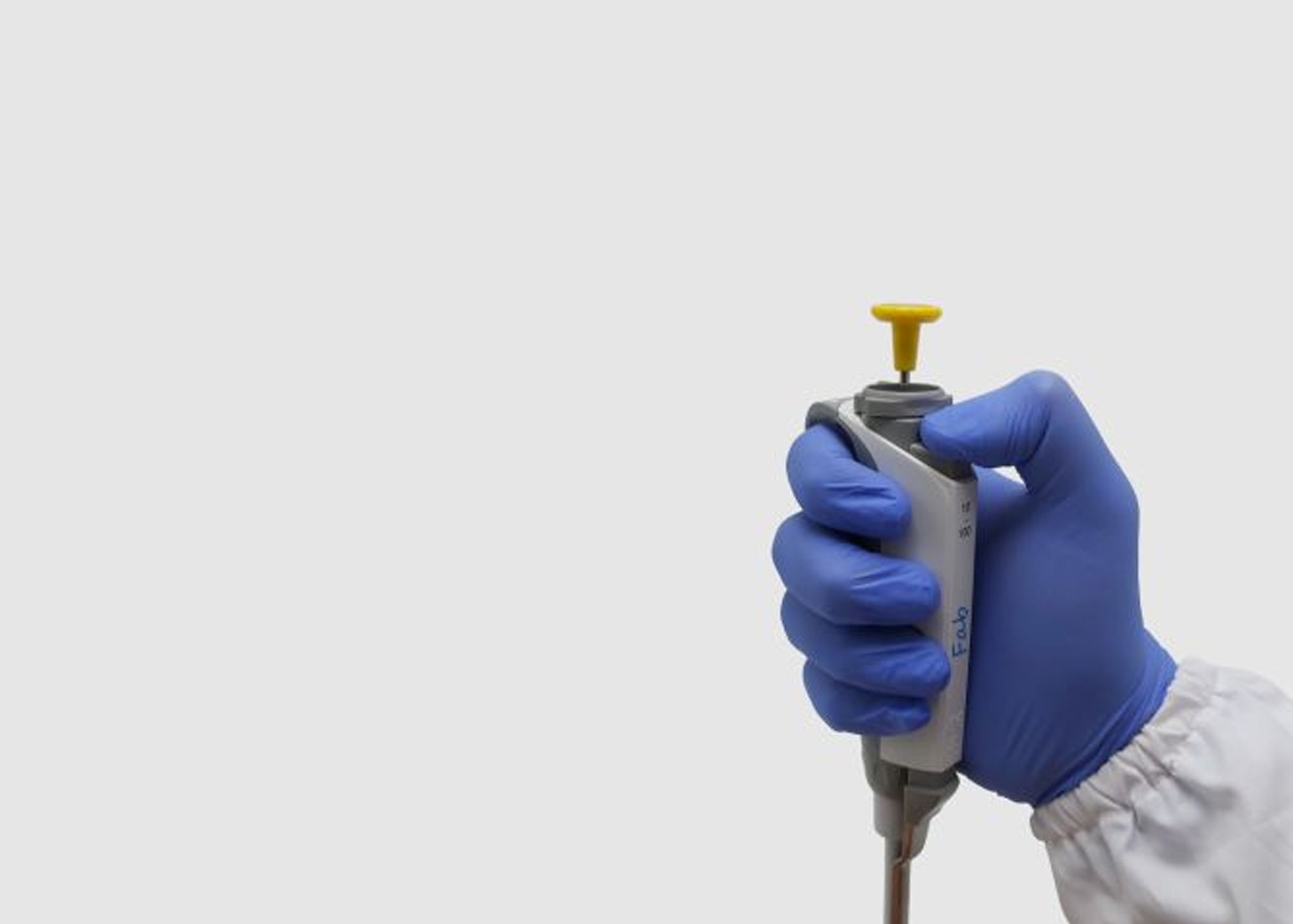 WhatsApp Image 2024-01-29 at 11.57.36 (1)