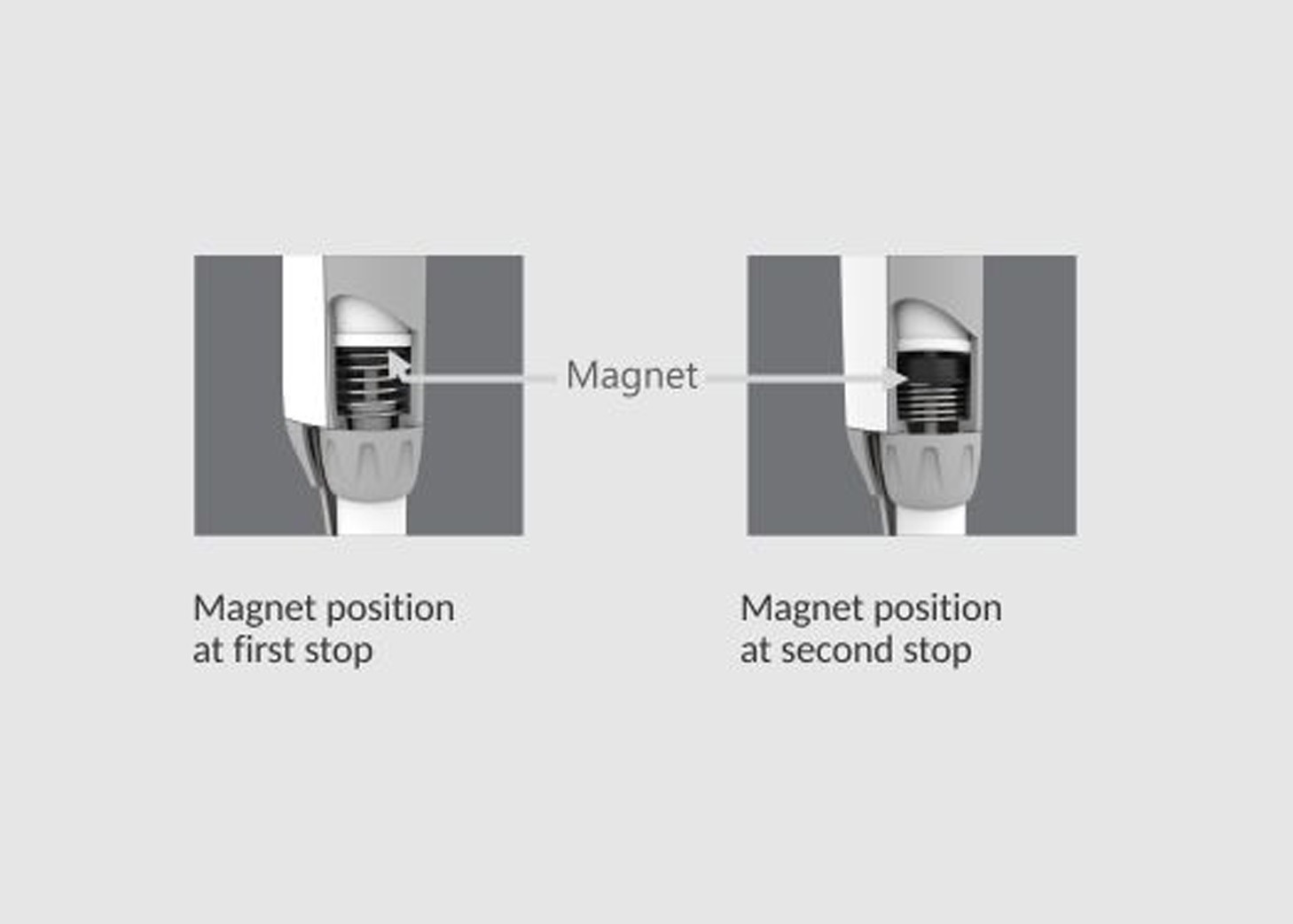 WhatsApp Image 2024-01-29 at 11.57.36 (4)