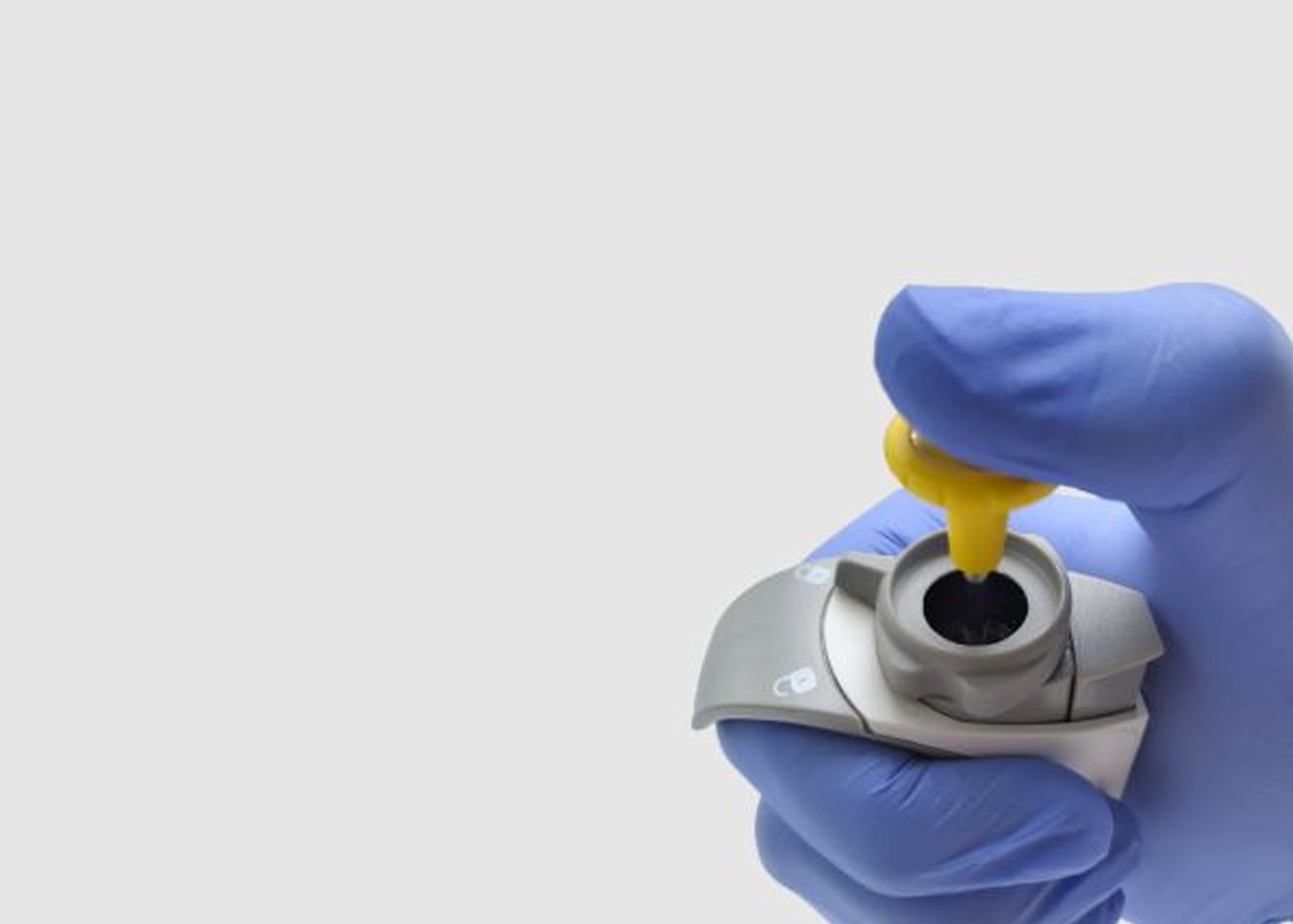 WhatsApp Image 2024-01-29 at 11.57.36