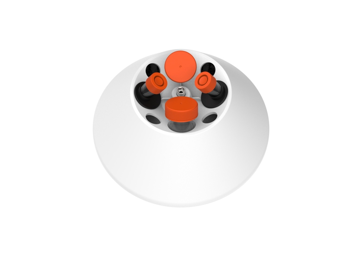 WhatsApp Image 2024-01-29 at 12.08.19 (1)